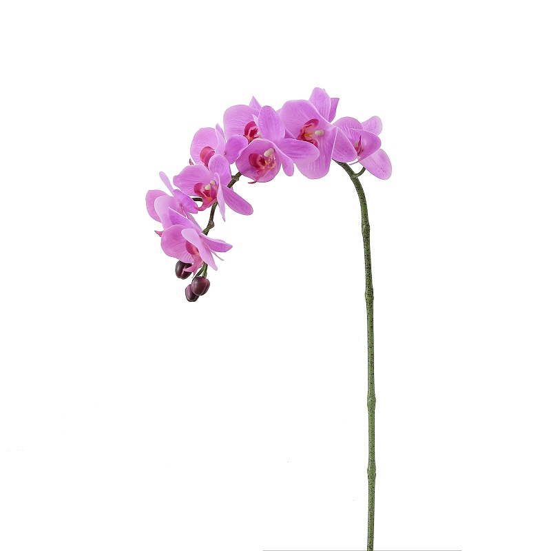 Højkvalitets ægte berørt enkelt gren kunstig orkidé til salg