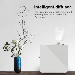 DW-1000Aroma diffuser