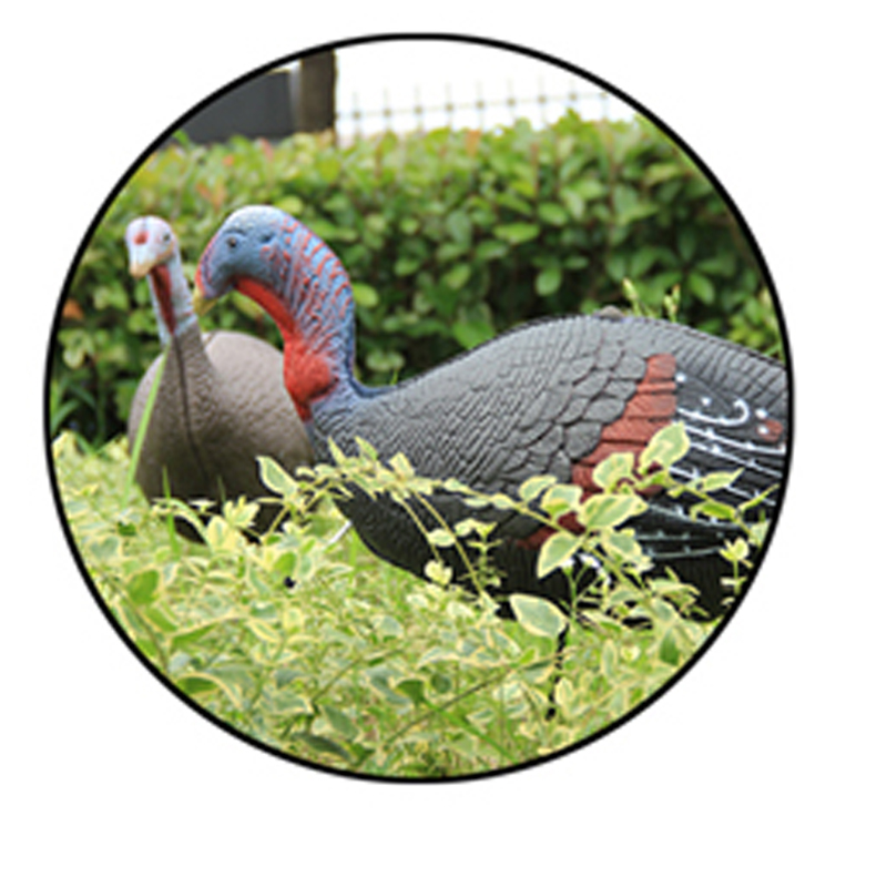 Glad Thanksgiving Day.