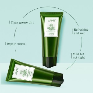 Private label anti acne aloe vera ansigt vaske ansigtsrensning ganoderma essens fash vask