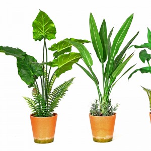 Hot Sale Factory Direct Supply Green Indendørs udendørs Hjem Dekorer Potted Green Plant