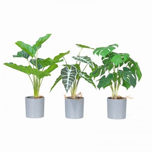 Factory leverer direkte varm salg kunstig grøn dekorative med flot udseende og reel berørt følelse