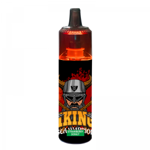 6000 Puffs engangs e-cigaret vape pen