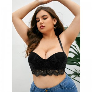 NY DESIGN LACE BRA SET EMBROIDERY Sexy Woman Plus Size Samle Formning Undertøj Trusser