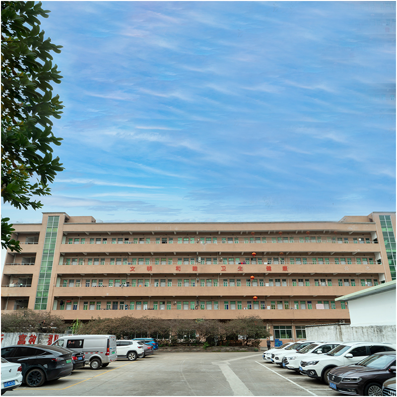 Hvad ser en sprøjtestøbefabrik ud i dine øjne?