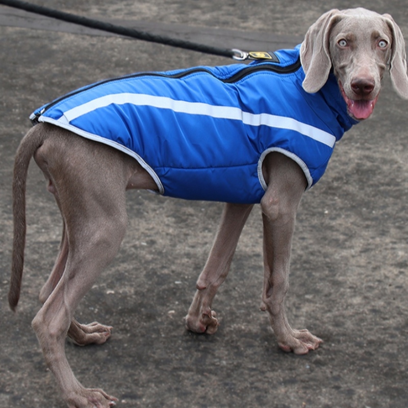Producenten engros udendørs kølig stil stærkt reflekterende tråde hunde jakke vandtætte frakker