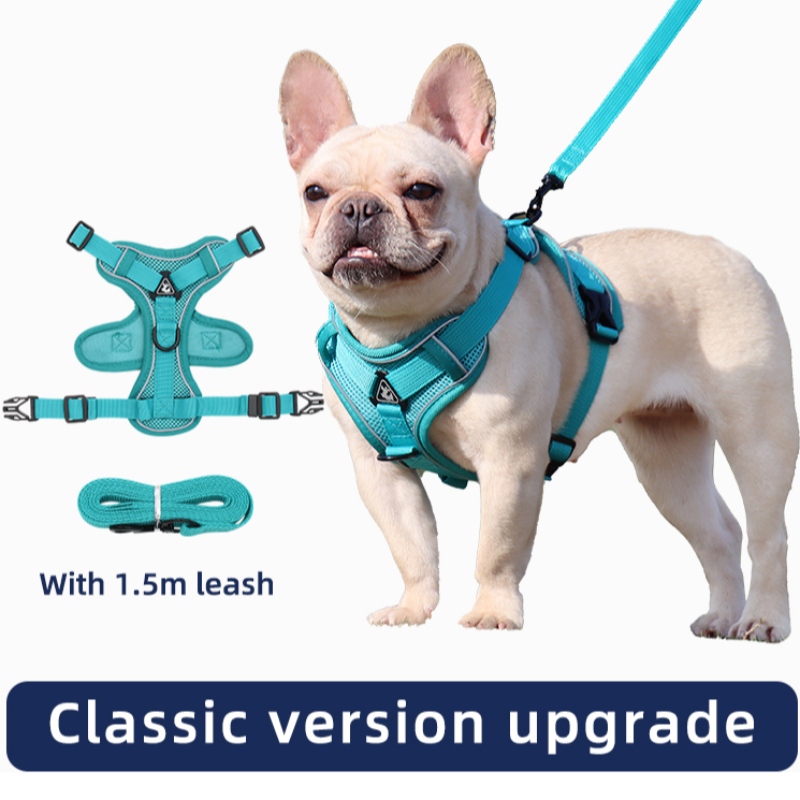Fashion Pet Vest Type Traction Chest Strap Cat Dog Justerbar indtrækbar trækkraft reb walking hund reb krave