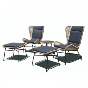 Steel&wicker 5pcs Sofa Set