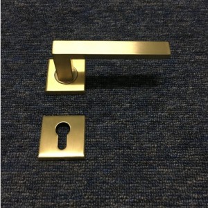 F5450 rustfrit stålhåndtag Mortise Lock, Keyed Entry Lever Handle Lock