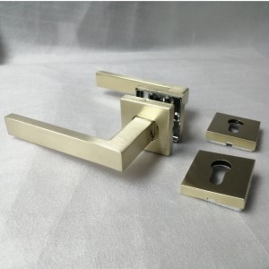 F5450 rustfrit stålhåndtag Mortise Lock, Keyed Entry Lever Handle Lock