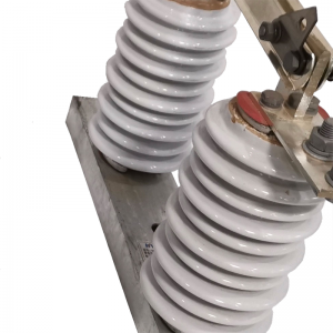 Enkeltfase højspændings porcelænsvakuumisolering af afbrydelse