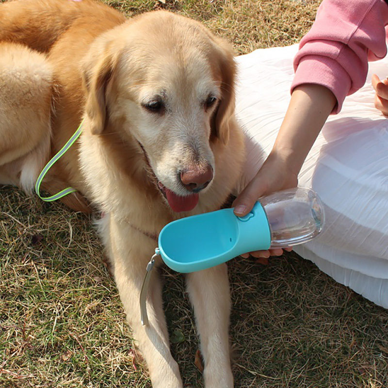 Madkvalitet plastik lækage bevis bærbar hvalpe vand dispenser hundevand flaske med drikkeføder til kæledyr udendørs vandrende vandreture
