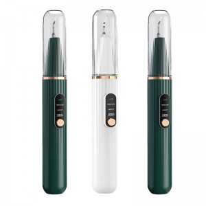 Hjemmebrug Visualisering Ultrasonic Dental Calculus Cleaner, indbygget high-definition kamera og LED-lys med 3 former for rengøringstænder