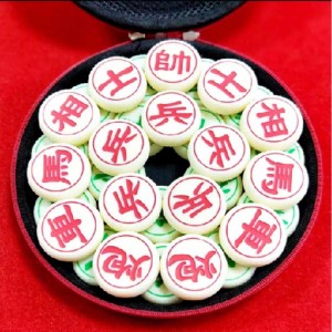 Kinesisk skak satte pædagogisk legetøj Vandtæt skak