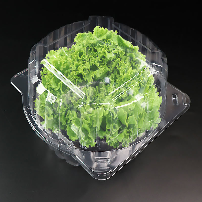 Gennemsigtig RPET eller Pet Clamshell Blister Container til 1 pund salat Urte Salat Leafy Packaging Box