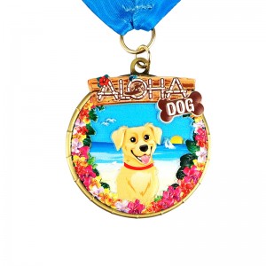 Medaljer Halo Medal Special Made Halo Infinite Medals