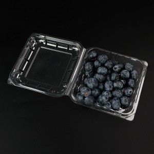 Blueberry Box Fruit Box med låg 103*108*42 mm HGF-125B