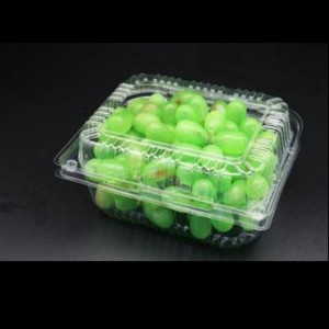 Frugtboks med låg 195*155*85 mm HGF-650