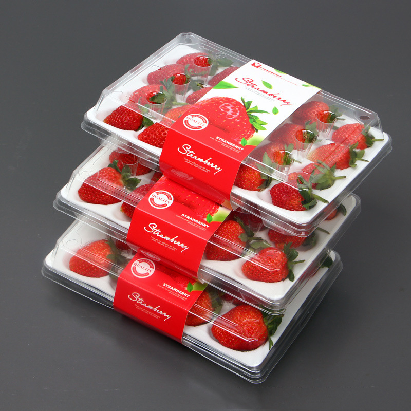 Strawberry Box (20 jordbær) 225*120*40 mm cm-20
