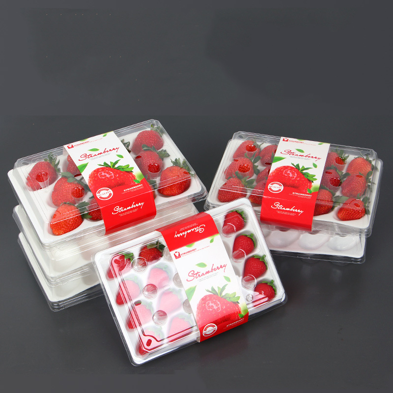 Strawberry Box (20 jordbær) 225*120*40 mm cm-20