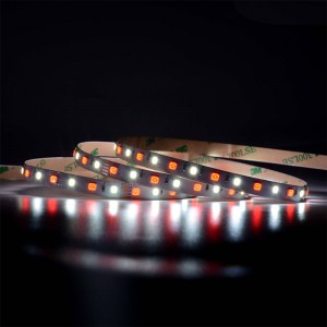 5050 60LEDS/m RGBW LED STRIP