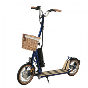 H10- 14 tommer dobbelt foldning Machanism Electric Scooter