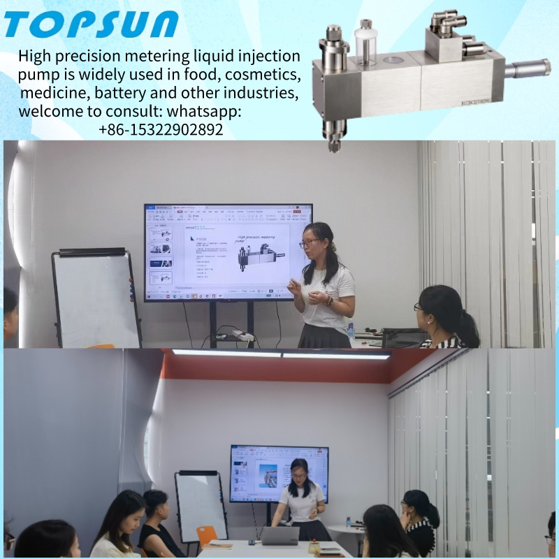 Hvordan man vælger præcisionsmålingspumpen?