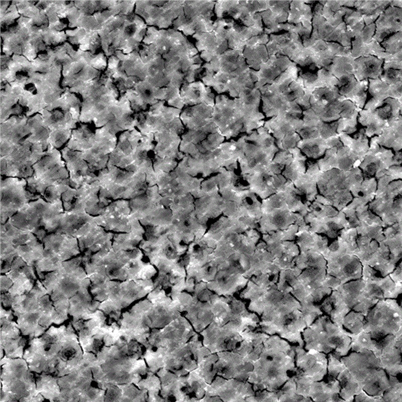 Sprøjtningsteknologi med magnesiumlegering