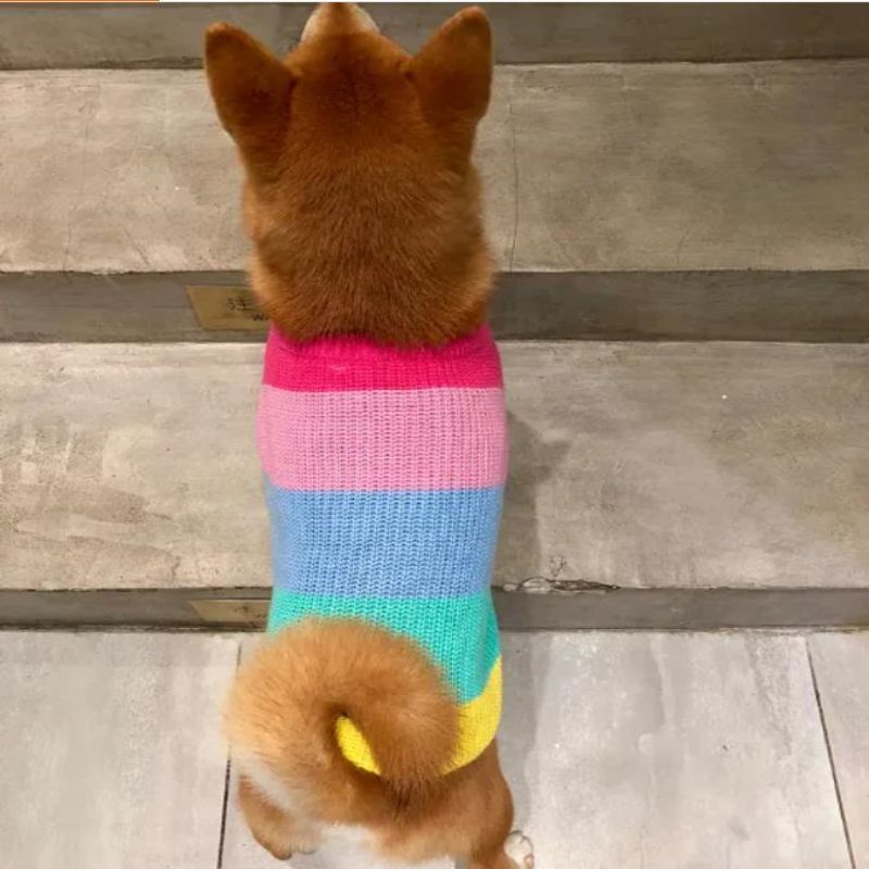 Producent Custom Winter Cotton strikkede kattefrakker sweater til kæledyr