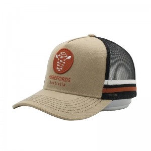 Brugerdefinerede højprofiliske australske landbiler, 2 sidestripemesh trucker cap, stribet trucker ha