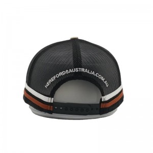 Brugerdefinerede højprofiliske australske landbiler, 2 sidestripemesh trucker cap, stribet trucker ha