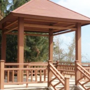 Pe træplastik ekstrudering form