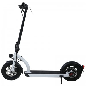 H8- 12inch 48V Electric Scooter/kan passere EN17128/EU-patent