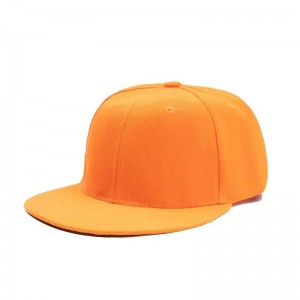 Engros høj kvalitet 100% bomuld mode sports cap brugerdefineret logo mænd almindelig flad Bill Brim mønster hip hop snapback cap hatte