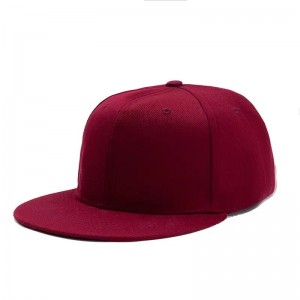 Engros høj kvalitet 100% bomuld mode sports cap brugerdefineret logo mænd almindelig flad Bill Brim mønster hip hop snapback cap hatte