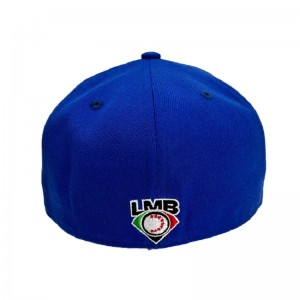 Ny hat Sældende engros varmt brand monteret hat 6 panel hip hop snapback cap