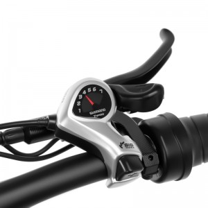 20 tommer fedt dæk elektrisk cykel