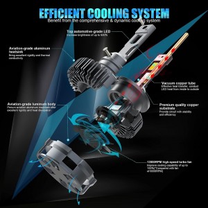 D4S/r LED forlygter pærer