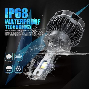 D4S/r LED forlygter pærer