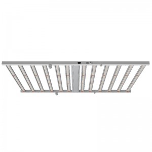 1250W 4*6ft fuld spektrum Horticultural Lighting Fixture til indendørs drivhus LED Grow Light