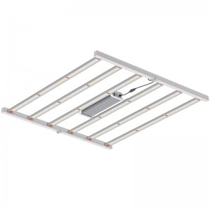 800W 4*4ft Fuld spektrum Horticultural Lighting Fixture til indendørs drivhus eller kommerciel voksende LED Grow Light