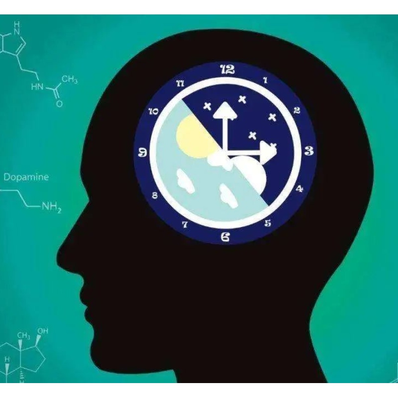 Hvordan NMN forbedrer søvnen?