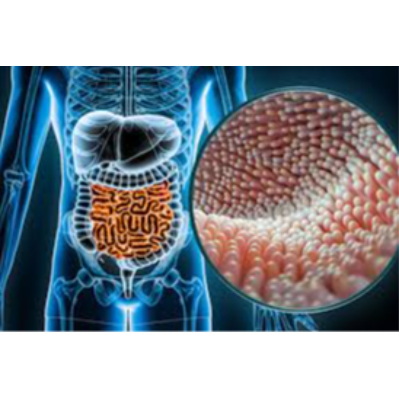 Peking union Medical College: NMN kan beskytte tarmen mod strålingsskade