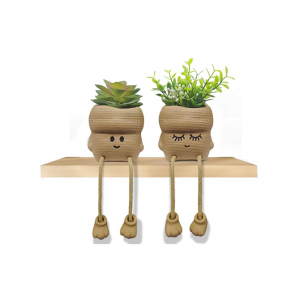 Mini falske planter