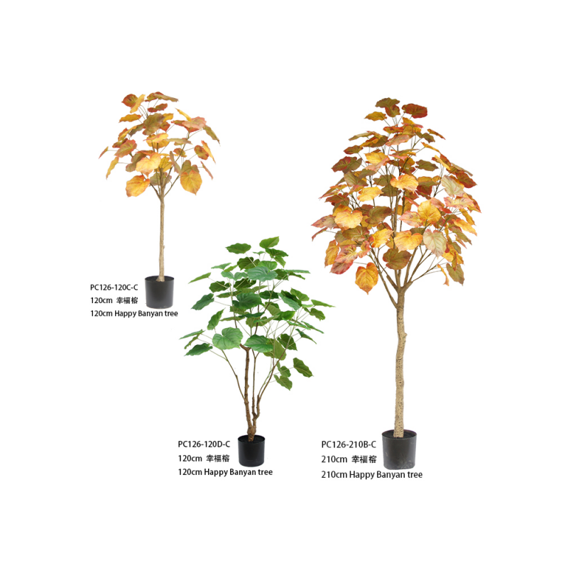Glad banyan træ