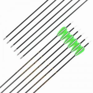 119673 30T High Modulus ID3.2mm Pure Carbon Arrows